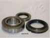  4420308 Wheel Bearing Kit